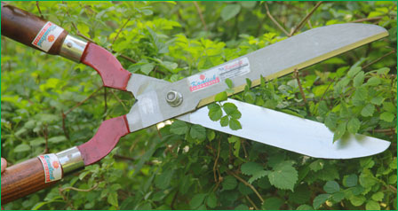 Hedge Shears