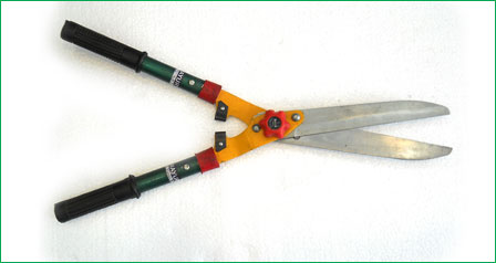 Hedge Shears