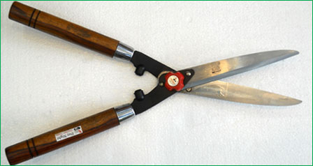 Hedge Shears