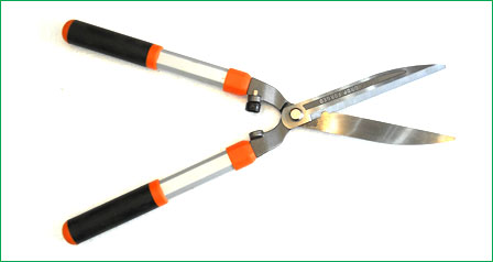 Hedge Shears