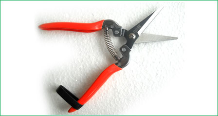 Prunning Shear Clipper