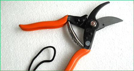 Prunning Shear Major Professional