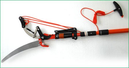 Telescopic Tree Pruner