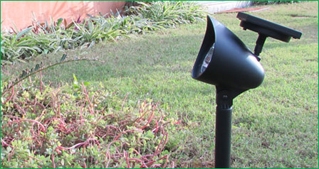 Garden Solar lights