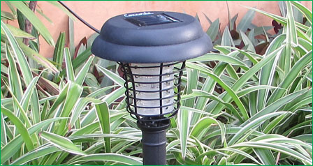 Garden Solar lights