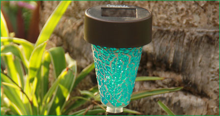 Garden Solar lights